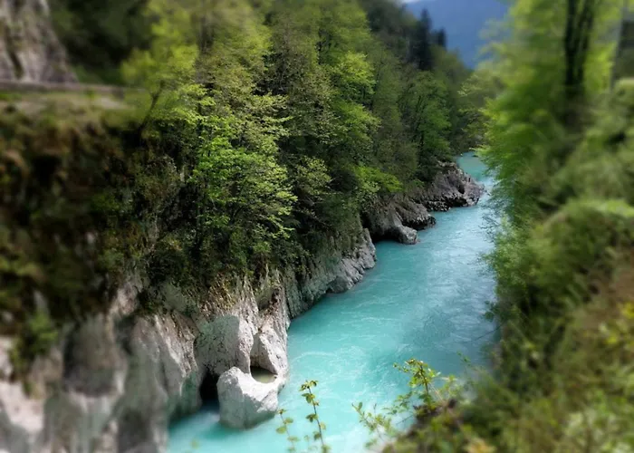 Apartma 47 아파트